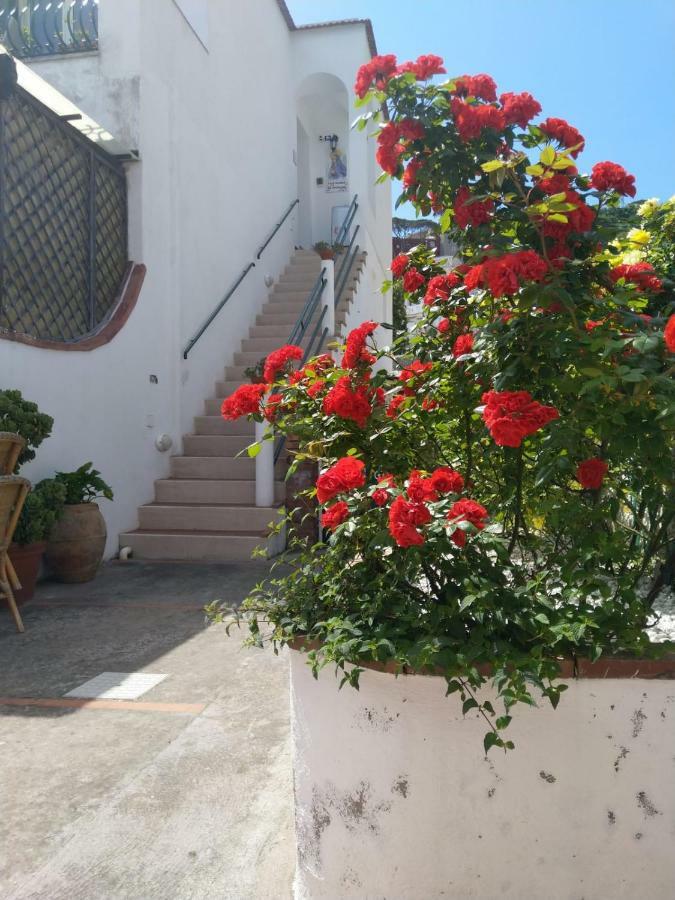 La Marocella Villa Capri Buitenkant foto